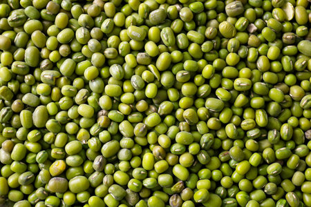 Heap of mung beans, closeupの写真素材