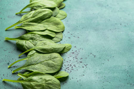 Fresh spinach on color backgroundの写真素材