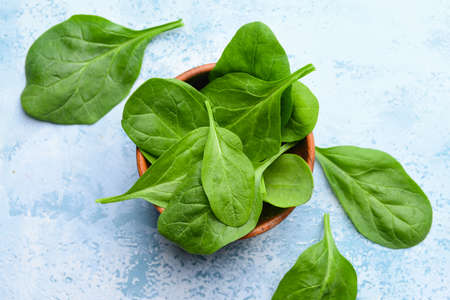 Bowl with fresh spinach on color background