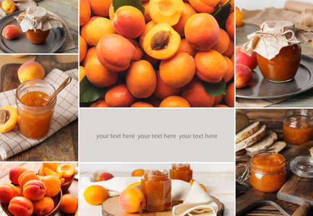 Collage of ripe apricots and tasty jam with space for textの写真素材