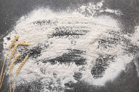 Flour with wheat ears on gray background