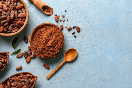 Composition with cocoa powder and beans on color backgroundの写真素材