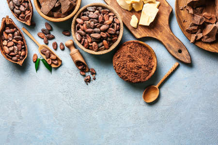 Different cocoa products on color background
