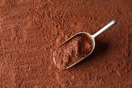 Metal scoop on cocoa powderの写真素材