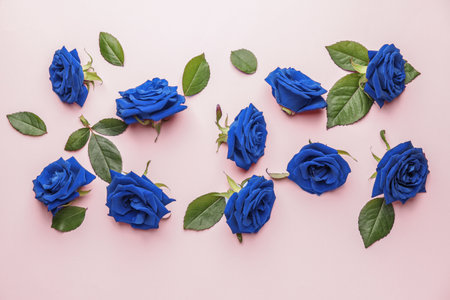 Beautiful blue roses and leaves on color backgroundの写真素材