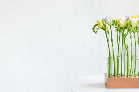 Beautiful freesia flowers on table against light backgroundの写真素材