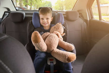 Little boy with toy bear buckled in car seatの写真素材