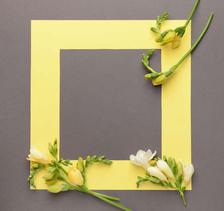 Frame with beautiful freesia flowers on gray backgroundの写真素材