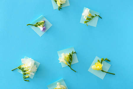 Paper sheets and beautiful freesia flowers on color background
