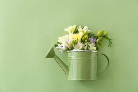 Watering can with beautiful freesia flowers on color backgroundの写真素材
