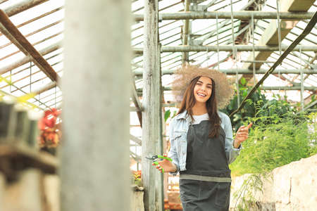 Beautiful female gardener in greenhouseの写真素材
