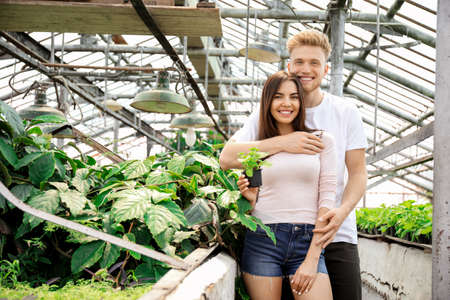 Portrait of young gardeners in greenhouseの写真素材