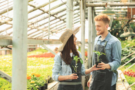 Portrait of young gardeners in greenhouseの写真素材