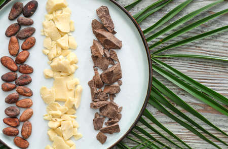 Plate with cacao butter, chocolate and beans on wooden tableの写真素材