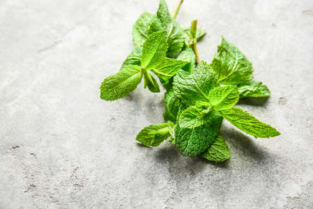 Fresh green mint on light background