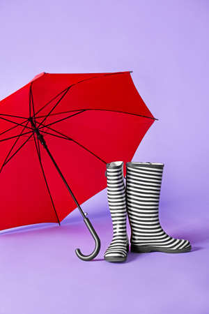 Gumboots and umbrella on color backgroundの写真素材