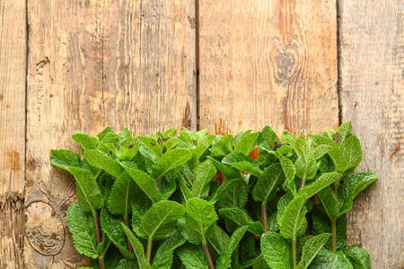 Fresh green mint on wooden background