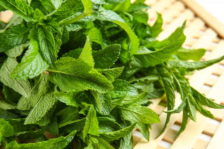Fresh green mint on table, closeup