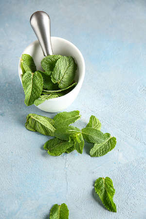 Mortar with pestle and fresh green mint on color background