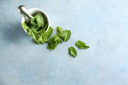Mortar with pestle and fresh green mint on color backgroundの写真素材