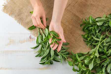 Woman with fresh green mint at table