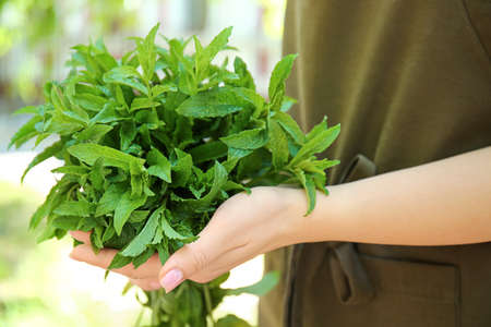 Woman with fresh green mint outdoors, closeup