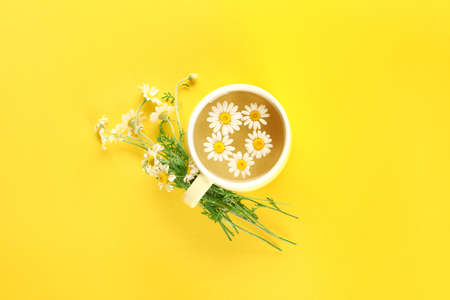 Cup of healthy chamomile tea on color backgroundの写真素材