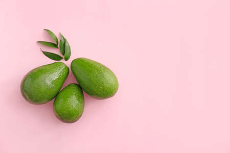 Fresh ripe avocados on color backgroundの写真素材