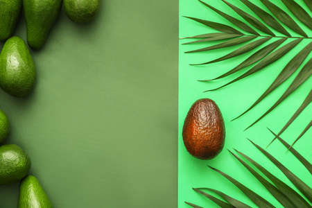 Fresh avocados and palm leaves on color background