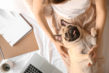 Morning of beautiful young woman with cute pug dog at homeの写真素材