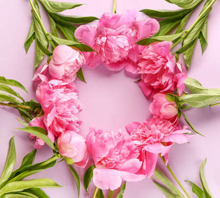 Frame made of beautiful peonies on color backgroundの写真素材
