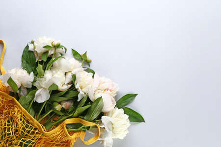 Beautiful fresh peony flowers on white backgroundの写真素材