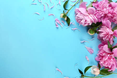 Beautiful fresh peony flowers on color backgroundの写真素材