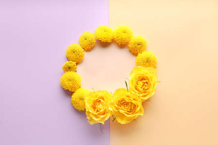 Beautiful flower composition on color backgroundの写真素材