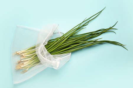 Eco bag with green onion on color backgroundの写真素材