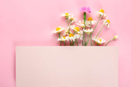 Empty card with fresh wild flowers on color backgroundの写真素材