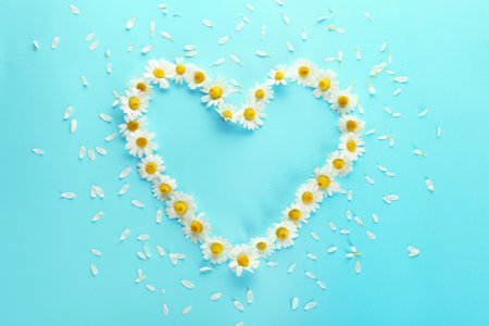 Frame made of fresh wild chamomile flowers on color backgroundの写真素材