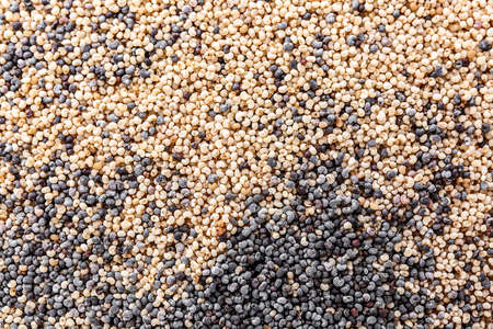 Many black and white poppy seeds as backgroundの写真素材