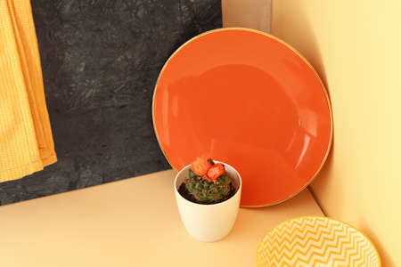 Dishware and cactus in pot on tableの写真素材