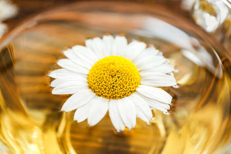 Cup of hot chamomile tea, closeupの写真素材