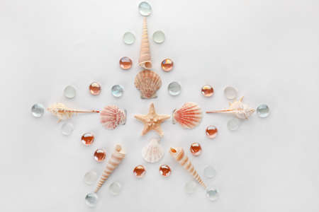 Star made of beautiful sea shells on light background