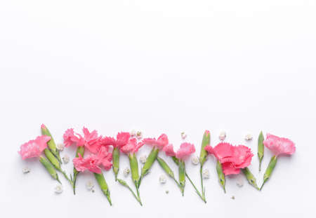 Beautiful flowers on white backgroundの写真素材