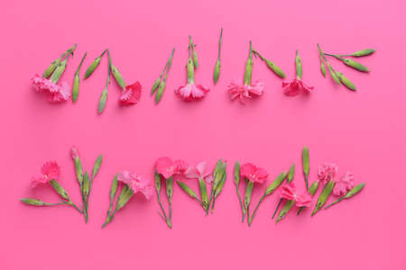 Beautiful flowers on color background