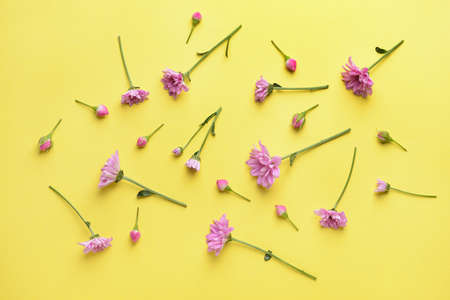 Beautiful fresh flowers on color backgroundの写真素材