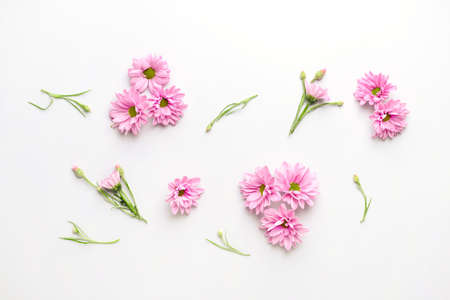 Beautiful fresh flowers on light background