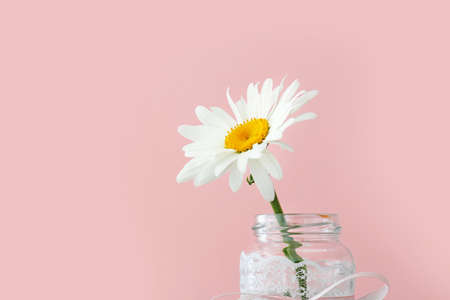 Vase with beautiful chamomile flower on color backgroundの写真素材