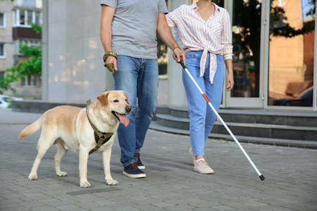 Blind mature man with his daughter and guide dog outdoorsの写真素材