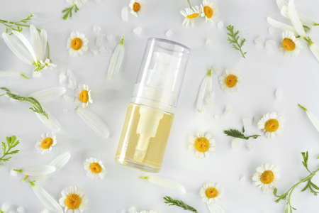 Bottle of essential oil with chamomile flowers on white backgroundの写真素材