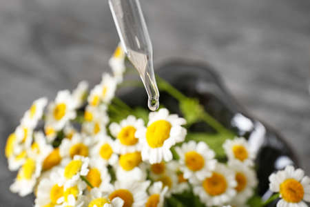 Dropper with chamomile essential oil closeupの写真素材