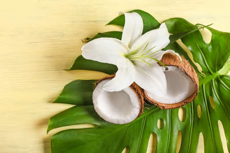 Tropical leaf with coconut and flower on wooden backgroundの写真素材